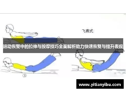 运动恢复中的拉伸与按摩技巧全面解析助力快速恢复与提升表现